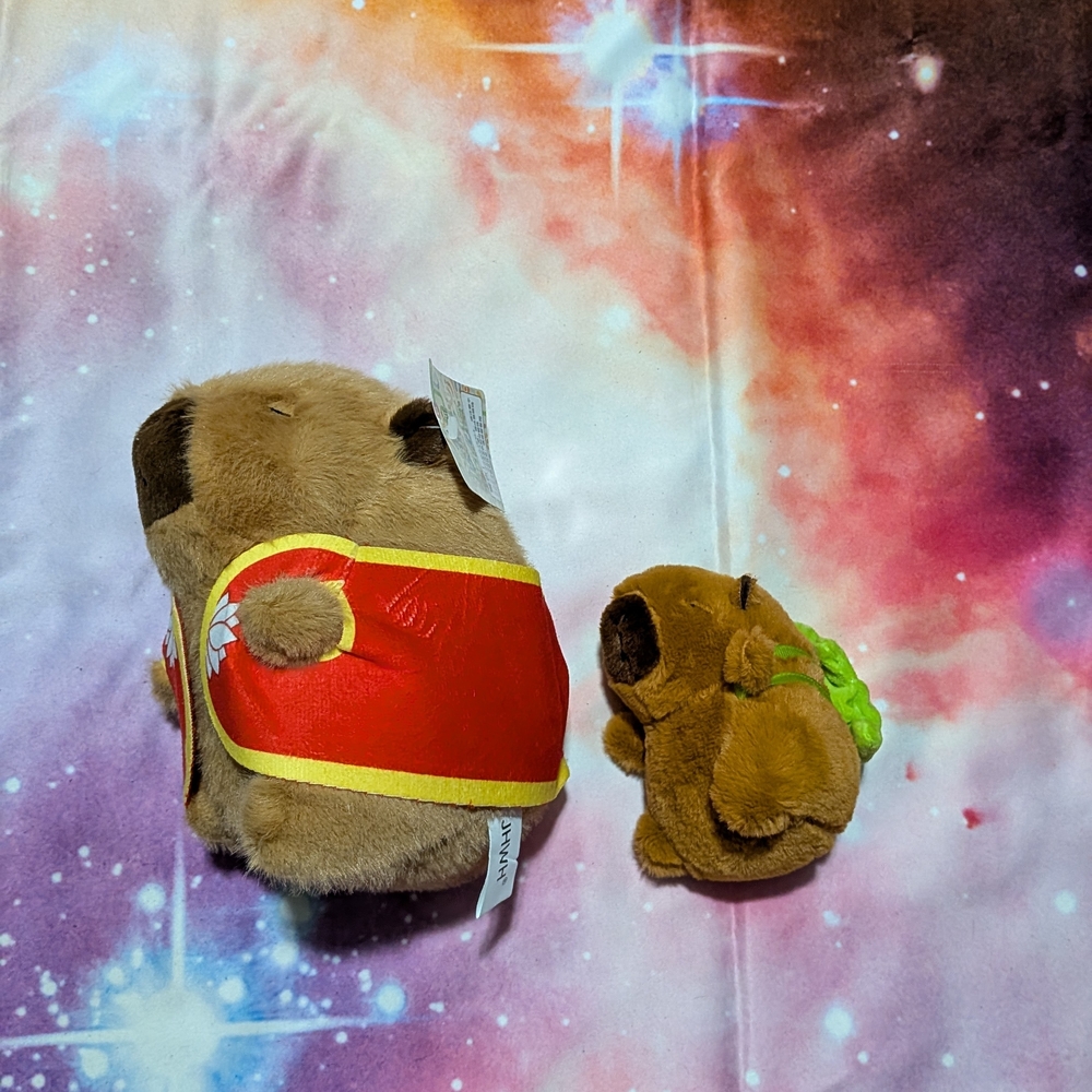 Cute Plush Capybara Set